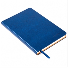 齐心C5810皮面笔记本 25K/114页 蓝色 单本装